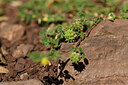 BUITEN BEELD Foto: 442323