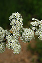 BUITEN BEELD Foto: 442329