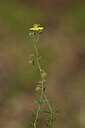 BUITEN BEELD Foto: 442331