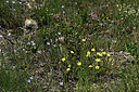 BUITEN BEELD Foto: 442334