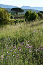 BUITEN BEELD Foto: 442340