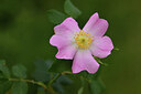 BUITEN BEELD Foto: 442341