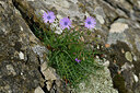 BUITEN BEELD Foto: 442349
