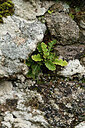 BUITEN BEELD Foto: 442350