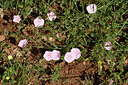 BUITEN BEELD Foto: 442352