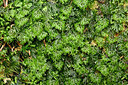 BUITEN BEELD Foto: 442353