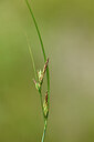BUITEN BEELD Foto: 442357