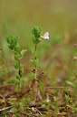 BUITEN BEELD Foto: 442358