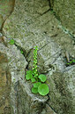 BUITEN BEELD Foto: 442361