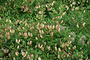 BUITEN BEELD Foto: 442363