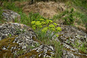 BUITEN BEELD Foto: 442368