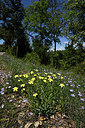 BUITEN BEELD Foto: 442374