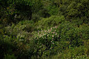 BUITEN BEELD Foto: 442375