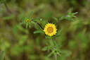 BUITEN BEELD Foto: 442378
