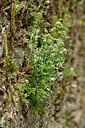 BUITEN BEELD Foto: 442379