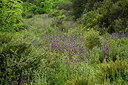 BUITEN BEELD Foto: 442380
