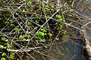 BUITEN BEELD Foto: 442381