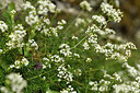 BUITEN BEELD Foto: 442382