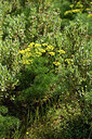 BUITEN BEELD Foto: 442383