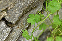 BUITEN BEELD Foto: 442388