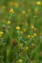BUITEN BEELD Foto: 442390