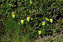 BUITEN BEELD Foto: 442391