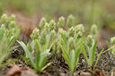 BUITEN BEELD Foto: 442396
