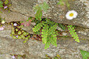 BUITEN BEELD Foto: 442399
