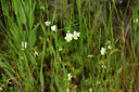 BUITEN BEELD Foto: 442400