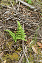 BUITEN BEELD Foto: 442401