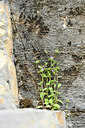 BUITEN BEELD Foto: 442402