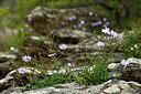 BUITEN BEELD Foto: 442405