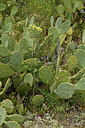 BUITEN BEELD Foto: 442407