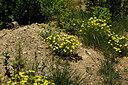 BUITEN BEELD Foto: 442409