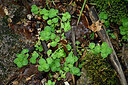 BUITEN BEELD Foto: 442414