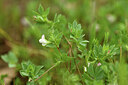 BUITEN BEELD Foto: 442417