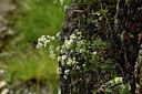 BUITEN BEELD Foto: 442420