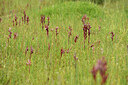 BUITEN BEELD Foto: 442422