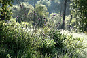 BUITEN BEELD Foto: 442427