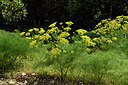 BUITEN BEELD Foto: 442428