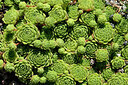 BUITEN BEELD Foto: 442432