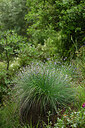 BUITEN BEELD Foto: 442433