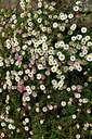BUITEN BEELD Foto: 442434