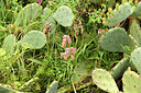 BUITEN BEELD Foto: 442439