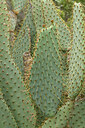 BUITEN BEELD Foto: 442443