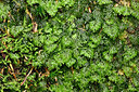 BUITEN BEELD Foto: 442444