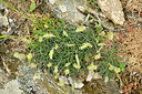 BUITEN BEELD Foto: 442445