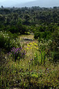 BUITEN BEELD Foto: 442450