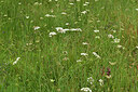 BUITEN BEELD Foto: 442452