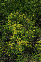 BUITEN BEELD Foto: 442454